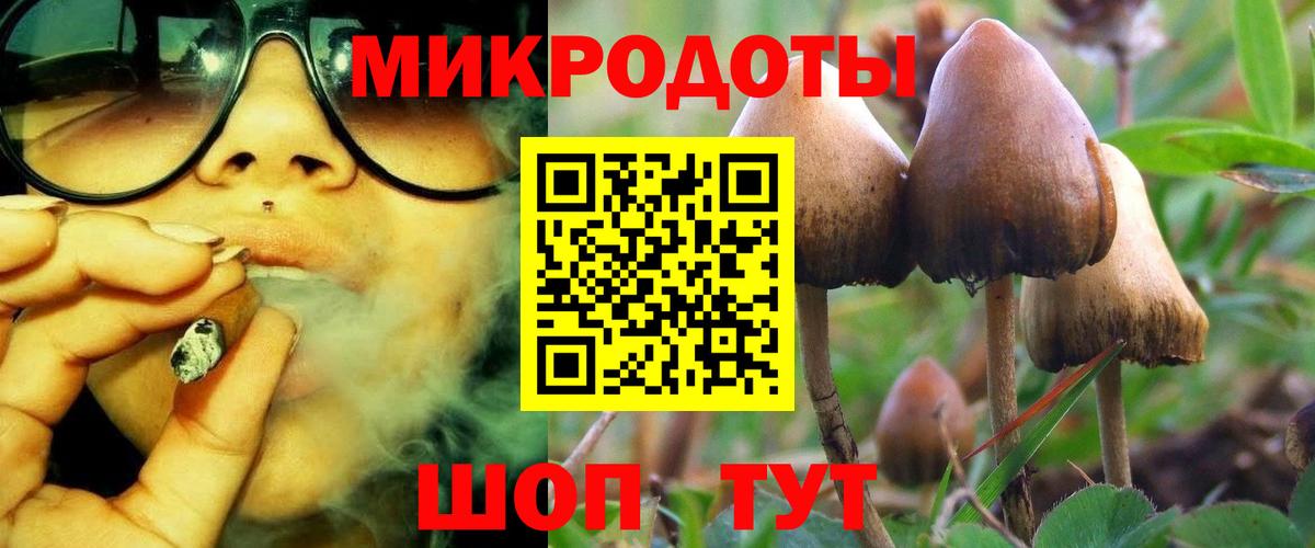 Тавда  купить наркотики цена  Псилоцибиновые грибы Magic Shrooms  Вход с VPN  Псилоцибиновые грибы Magic Shrooms 